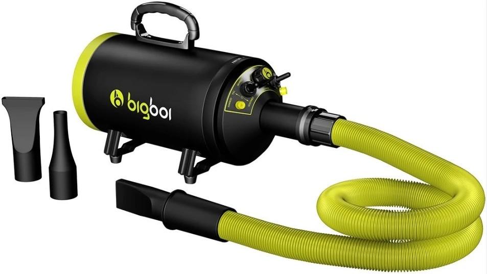 BigBoi BlowR Mini